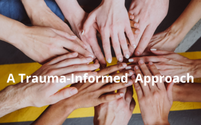 Implementing Trauma Informed Approaches in NI